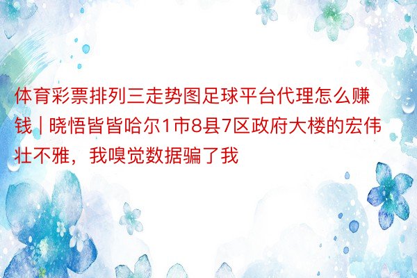 体育彩票排列三走势图足球平台代理怎么赚钱 | 晓悟皆皆哈尔1市8县7区政府大楼的宏伟壮不雅，我嗅觉数据骗了我