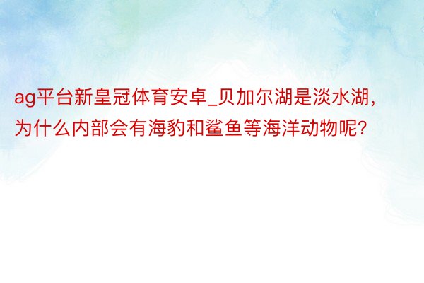 ag平台新皇冠体育安卓_贝加尔湖是淡水湖，为什么内部会有海豹和鲨鱼等海洋动物呢？