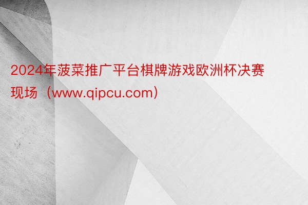 2024年菠菜推广平台棋牌游戏欧洲杯决赛现场（www.qipcu.com）