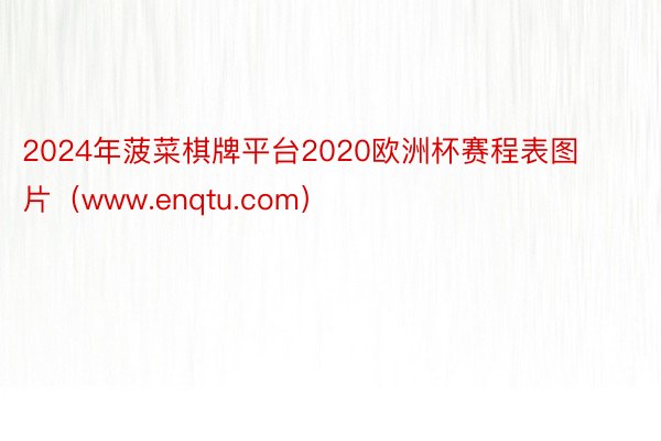 2024年菠菜棋牌平台2020欧洲杯赛程表图片（www.enqtu.com）